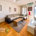 Izdaje se jednosoban stan 40m2 iza Delte