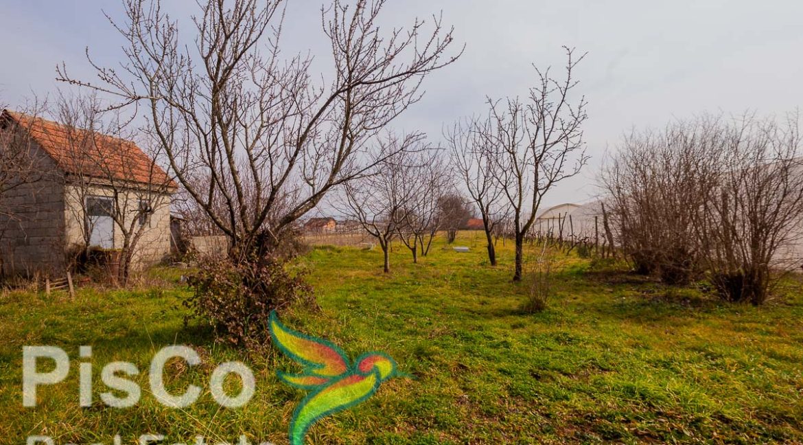 Kvalitetno gradjena kuća u mirnom kraju sa placem od 1300m2 (12 of 13)