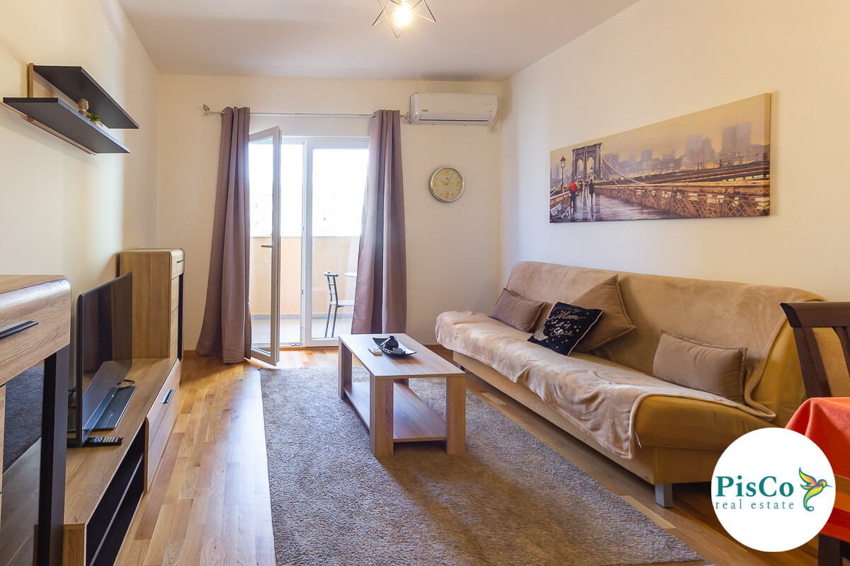 One-room apartment 45m2 for rent on Tuško put