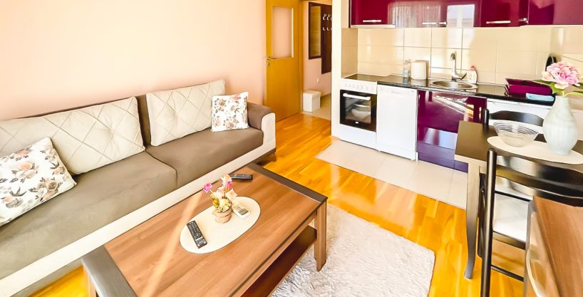 Izdaje se moderna garsonjera 30m2 na Zabjelu 6 Izdaje se moderna garsonjera 30m2 na Zabjelu