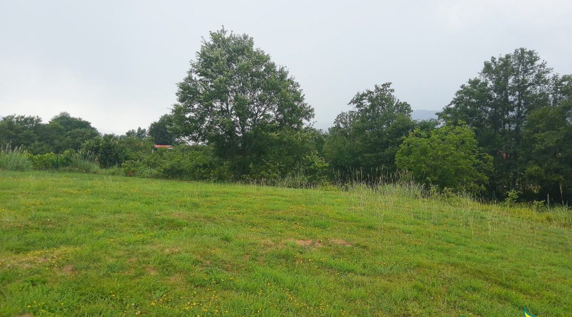 Plac Pricelje-517