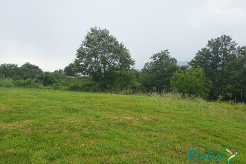 Plac Pricelje-517