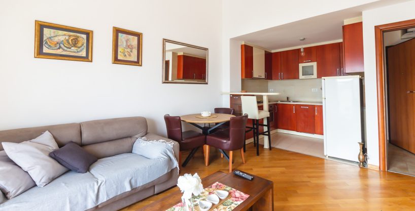 Nicely furnished one-bedroom apartment 50m2 Preko Morača for rent 2 Jednosoban kod hrama 2 of 6