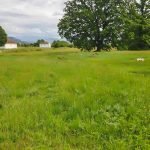 Na prodaju plac blizu Spuža 12.000m2