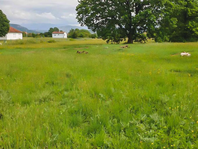 Plac Danilovgrad 1 of 6