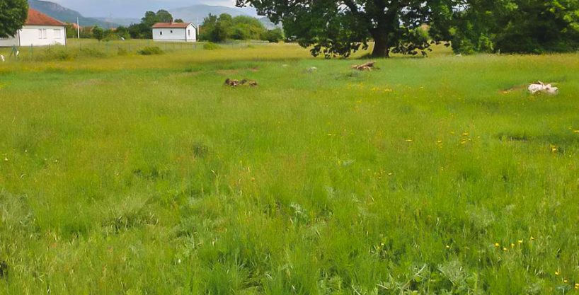 Na prodaju plac blizu Spuža 12.000m2