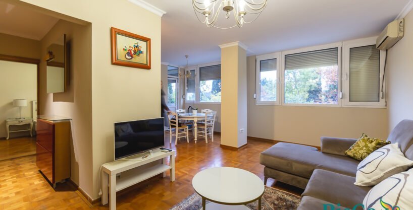 Nicely furnished one-room apartment 55m2 Preko Morača 2 Jednosoban renoviran Preko Morace 4 of 9