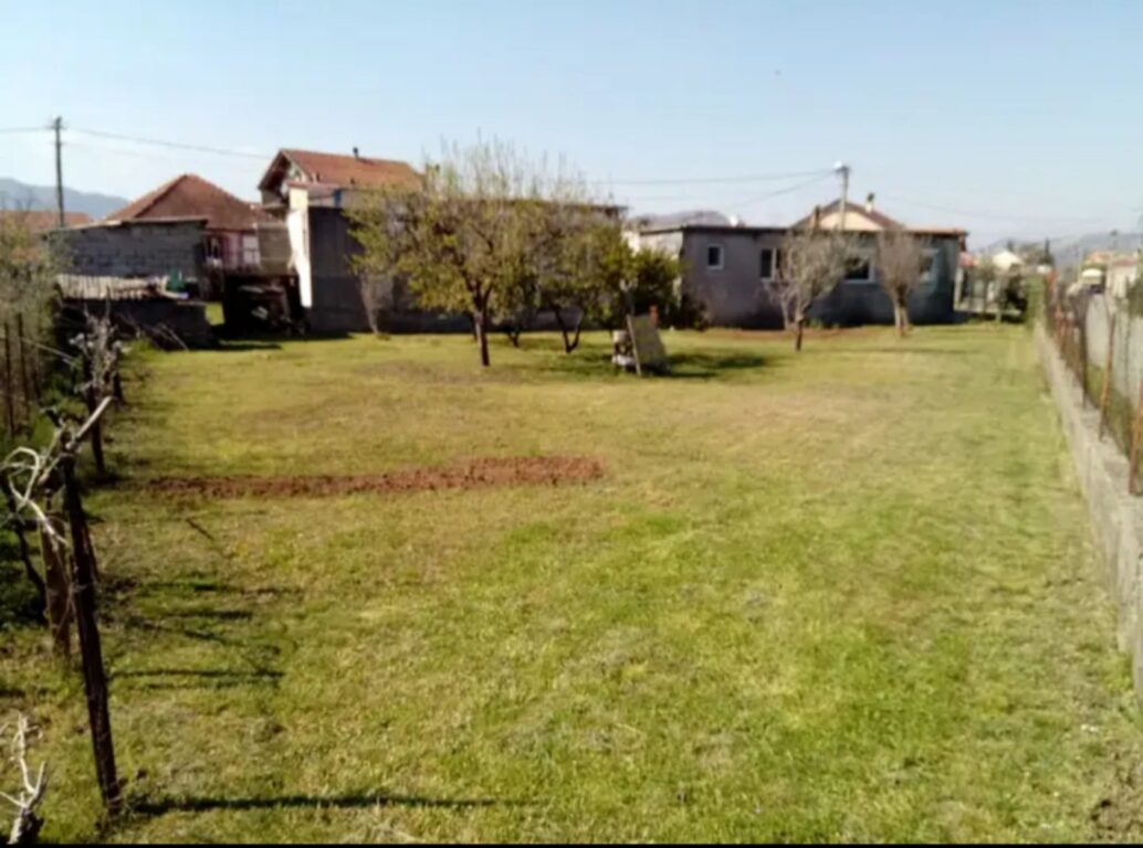 viber image 2024 03 08 13 19 12 155