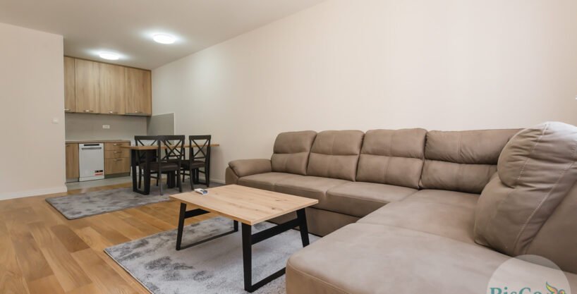 Prostran jednosoban stan u Central Pointu