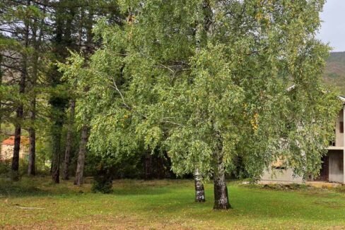 Prodaja, Kuća u Miločanima siva faza, 260 m², plac 2500m2, Nikšić (1 of 3)