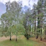 Prodaja, Kuća u Miločanima siva faza, 260 m², plac 2500m2, Nikšić