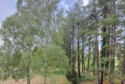 Prodaja, Kuća u Miločanima siva faza, 260 m², plac 2500m2, Nikšić (2 of 3)