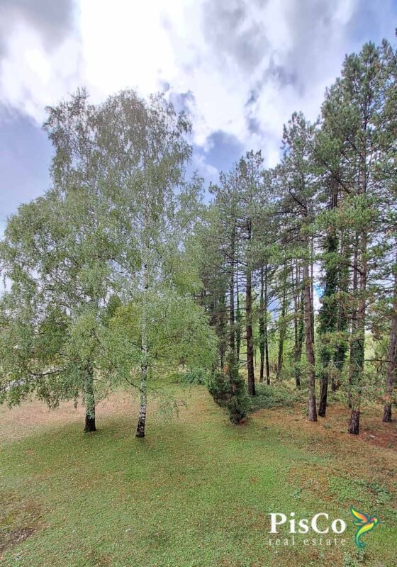 Prodaja, Kuća u Miločanima siva faza, 260 m², plac 2500m2, Nikšić