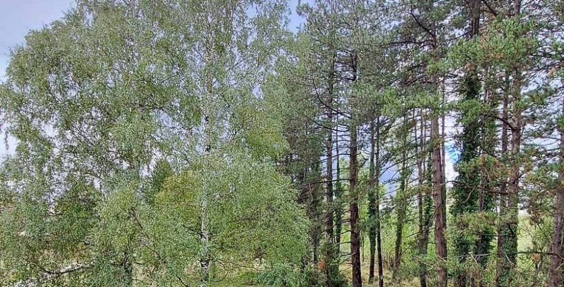 Prodaja, Kuća u Miločanima siva faza, 260 m², plac 2500m2, Nikšić