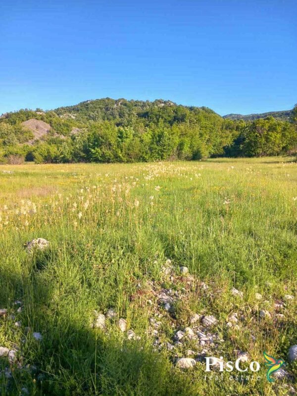 Prodaje se veliko zemljiste 27000m2 Grahovo Niksic 462