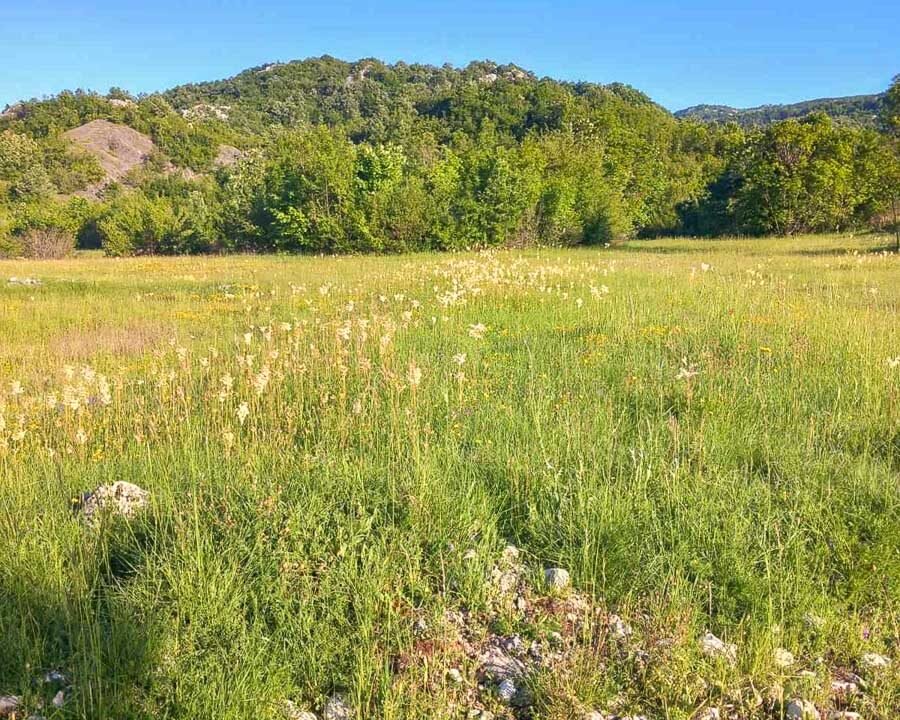 Prodaje se veliko zemljište, 27000m2, Grahovo, Nikšić-462