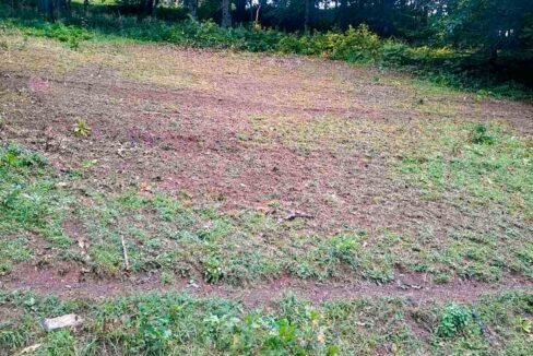 Zemljište, 15000m2, Đurđevića Tara, Pljevlja, Prodaja (1 of 3)