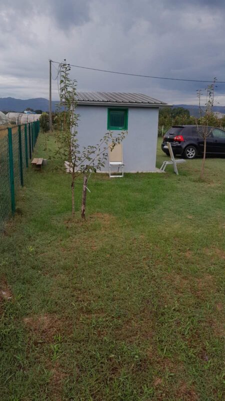 viber image 2024 10 05 11 38 46 766