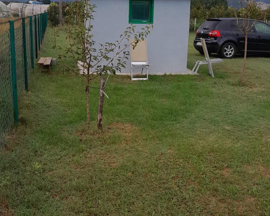 viber_image_2024-10-05_11-38-46-766