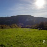 Plac 5000 m² Klicevo Niksic 0697
