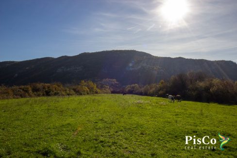 Plac 5000 m² Klicevo Niksic 0697