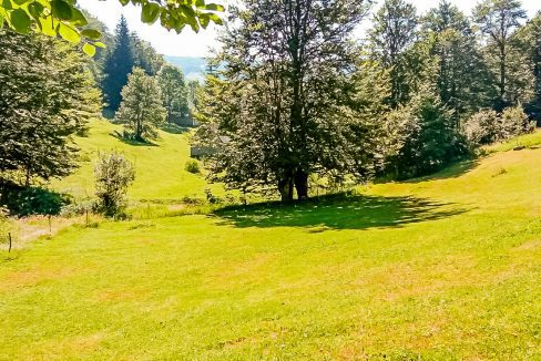 Nekretnina koja donosi čist vazduh i netaknutu prirodu - Plac i kuća Bukovica (15)