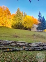 Nekretnina koja donosi čist vazduh i netaknutu prirodu - Plac i kuća Bukovica 4 Nekretnina koja donosi cist vazduh i netaknutu prirodu Plac i kuca Bukovica 2