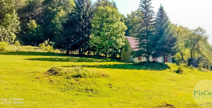 Nekretnina koja donosi čist vazduh i netaknutu prirodu - Plac i kuća Bukovica 6 Nekretnina koja donosi čist vazduh i netaknutu prirodu - Plac i kuća Bukovica