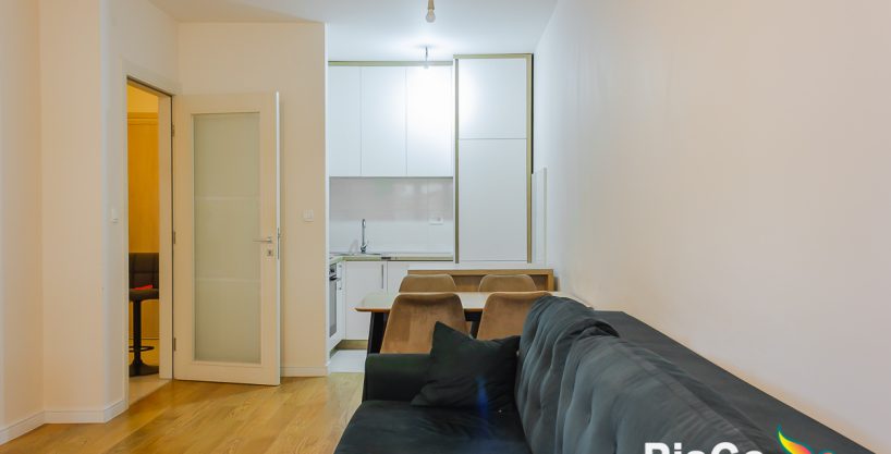 Izdavanje, jednosoban stan sa garažom, Central point