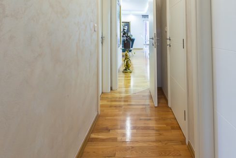 Ars medika (21 of 44)