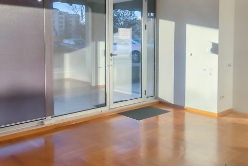 Poslovni profesorska (5 of 8)