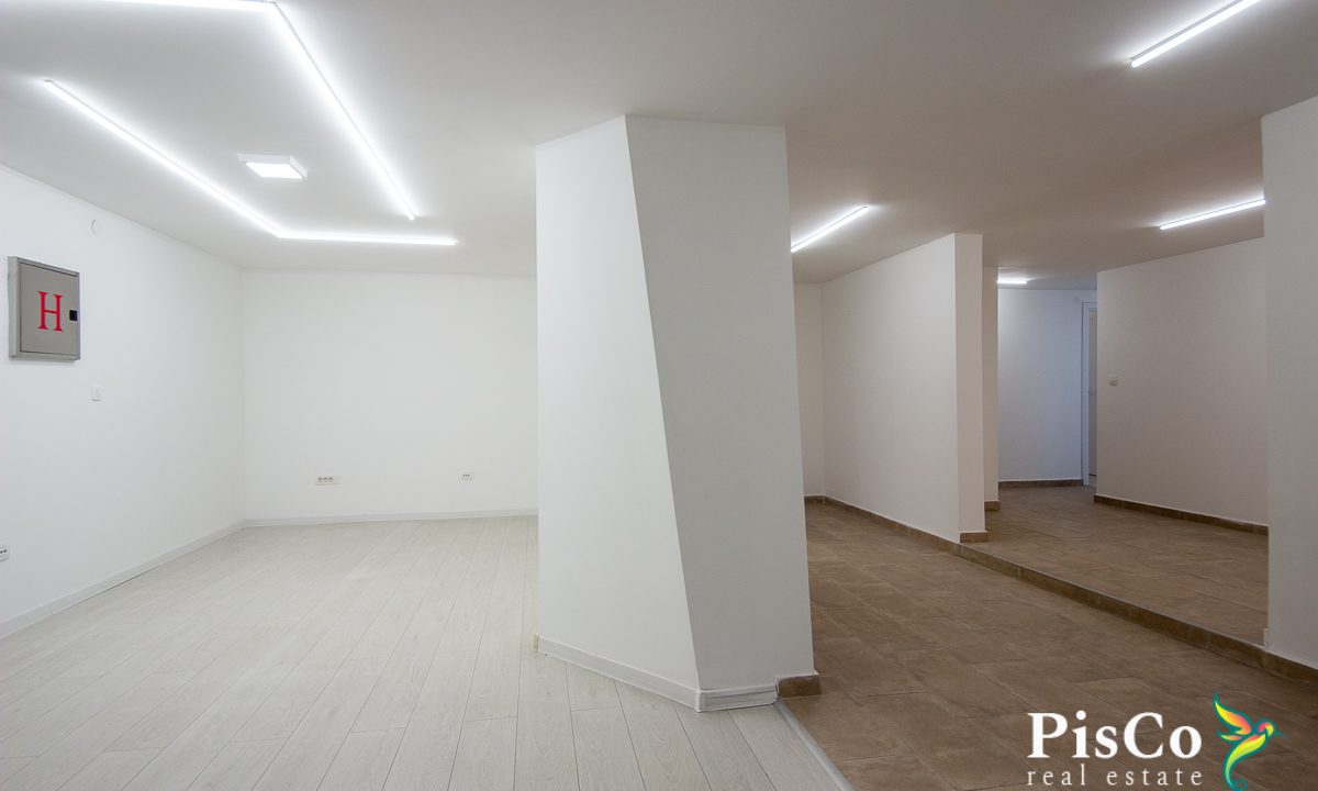 Poslovni prostor, blok 5, 294m2, Podgorica-1294