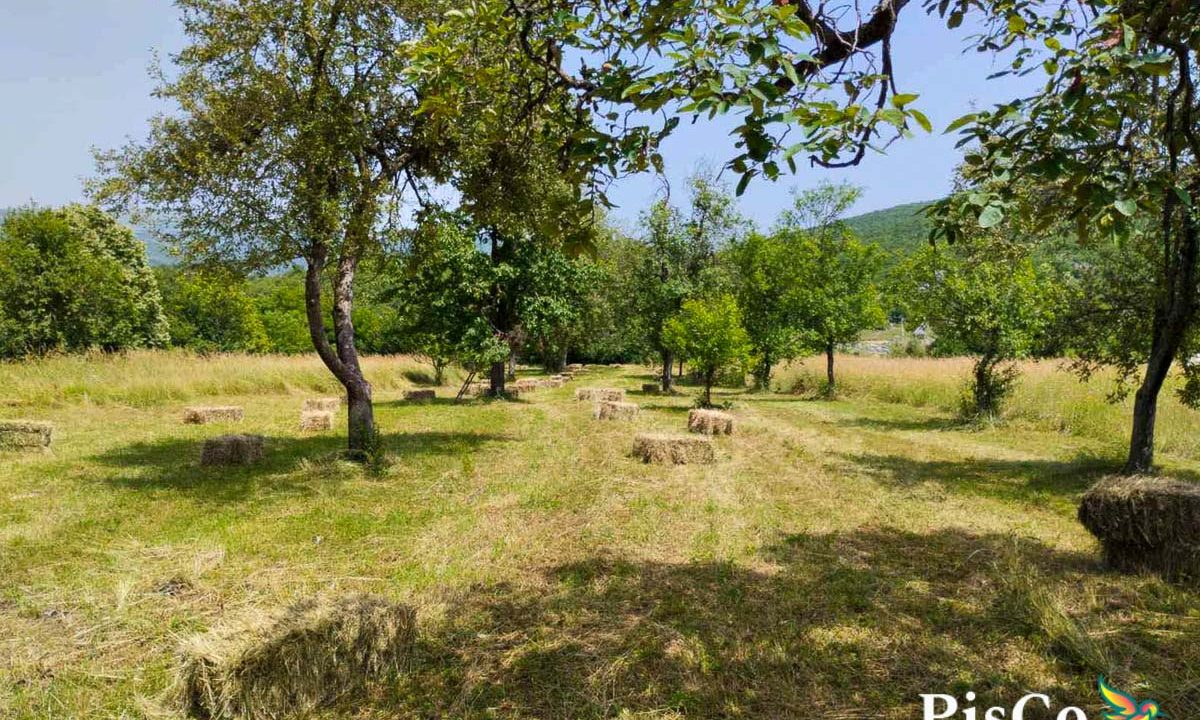 Prodaja kuća 91m2, Rastovac, Nikšić-068