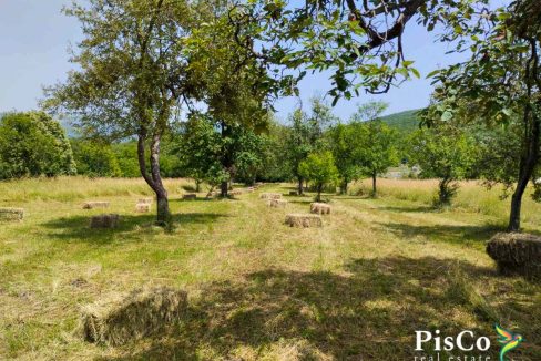Prodaja kuća 91m2, Rastovac, Nikšić-068
