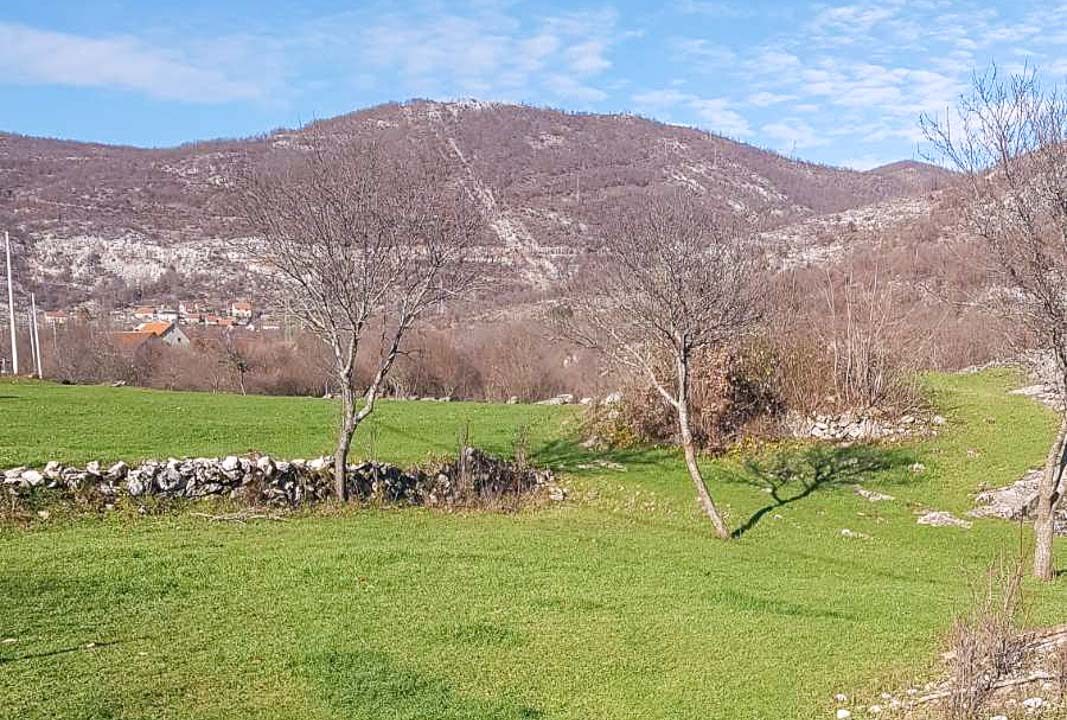 Prodaje se plac u naselju Vidrovan kod Nikšića, 25300 m²-411