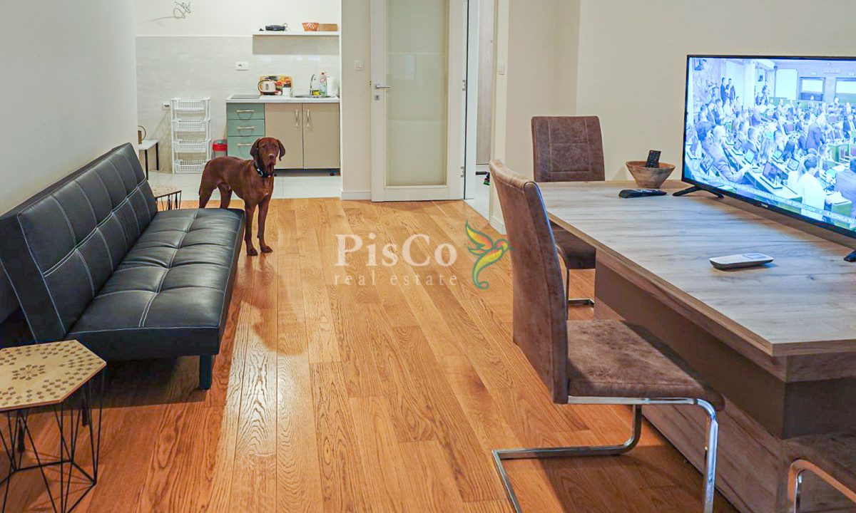 Izdavanje jednosoban stan 51m2, Central point, Podgorica-646