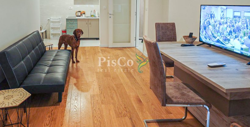 Jednosoban stan u Central Pointu, 51 m2, Podgorica, Izdavanje