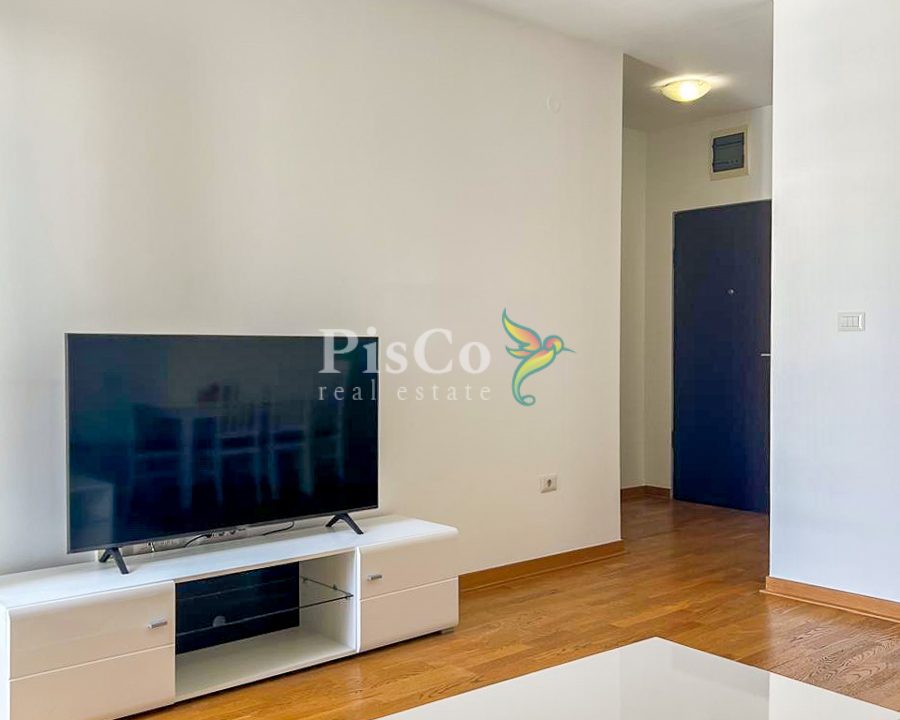 Namjesten jednosoban stan izdavanje 43m2, City kvart, Podgorica-207