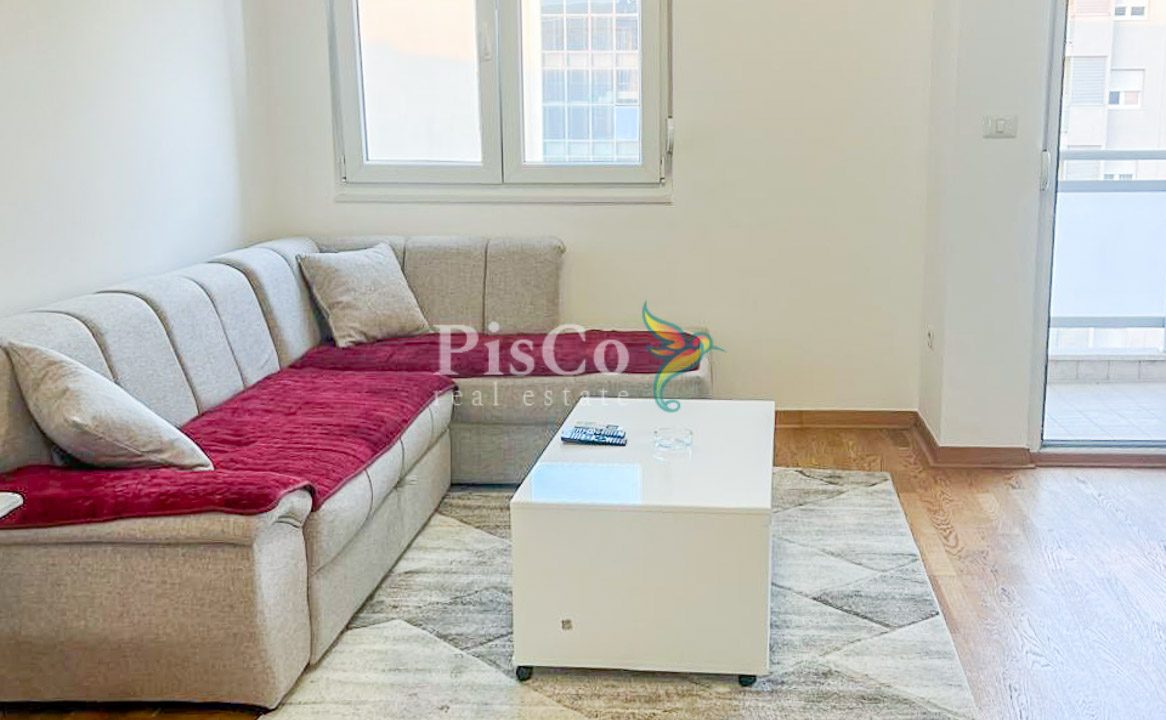 Namjesten jednosoban stan izdavanje 43m2, City kvart, Podgorica-373