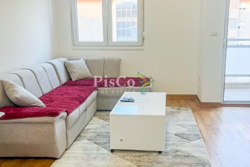 Namjesten jednosoban stan izdavanje 43m2, City kvart, Podgorica-373