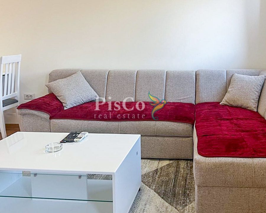 Namjesten jednosoban stan izdavanje 43m2, City kvart, Podgorica-595