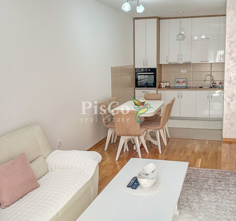 Prodaja, jednosoban stan, 48m2, Tuški Put, Podgorica-415