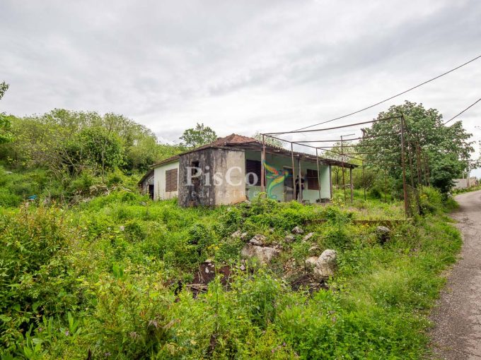 Prodaja kuca 70m2 i plac 3200m2 Danilovgrad 1770
