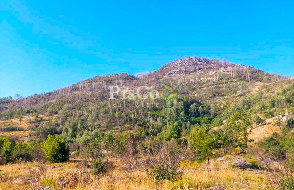 Prodaja zemljišta 480000m2, Brestice, Nikšić-06-2