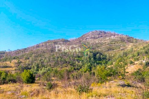 Prodaja zemljišta 480000m2, Brestice, Nikšić-06-2