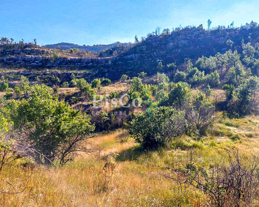 Prodaja zemljišta 480000m2, Brestice, Nikšić-06-4