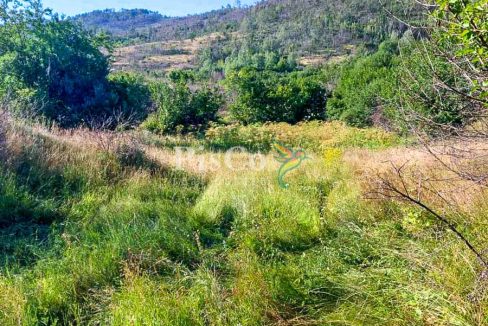 Prodaja zemljišta 480000m2, Brestice, Nikšić-06