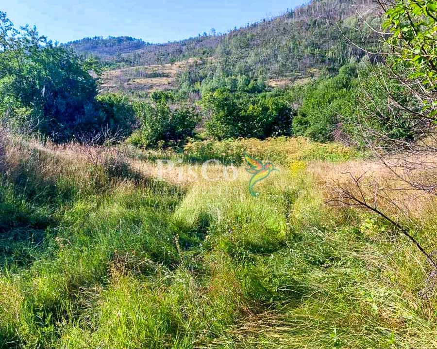 Prodaja zemljišta 480000m2, Brestice, Nikšić-06