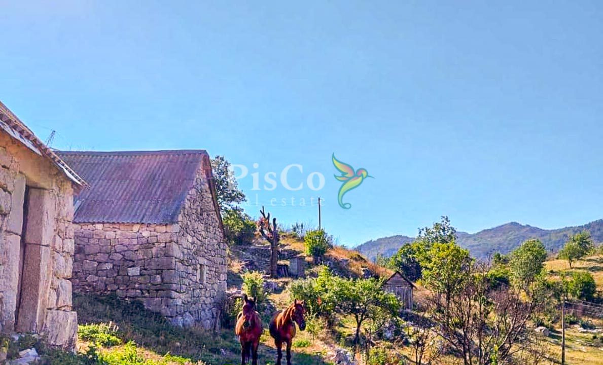 Prodaja zemljišta 480000m2, Brestice, Nikšić-09