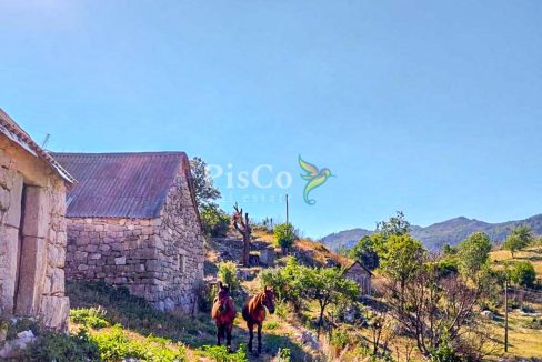 Prodaja zemljišta 480000m2, Brestice, Nikšić-09